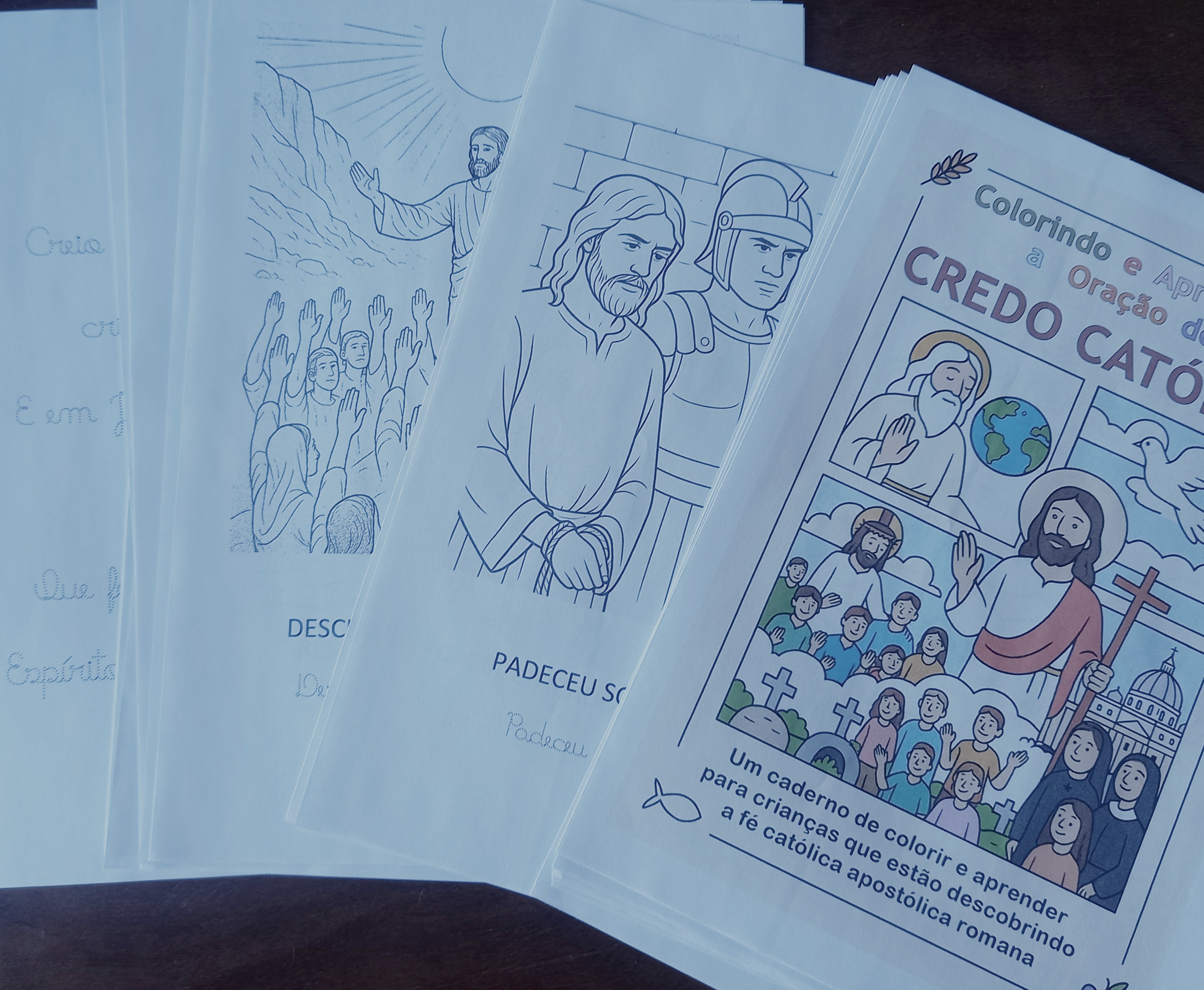 Página 3 do caderno